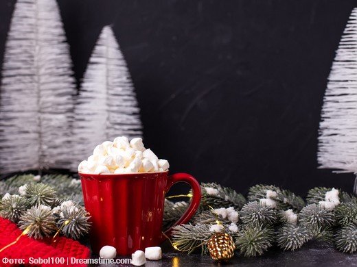 Новогодняя столица России -Рязань ( 3 дня, автобус из Москвы)