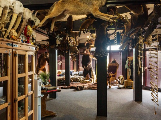 Охота за приключениями на земле Липецкой ( 2 дня, автобус из Москвы)