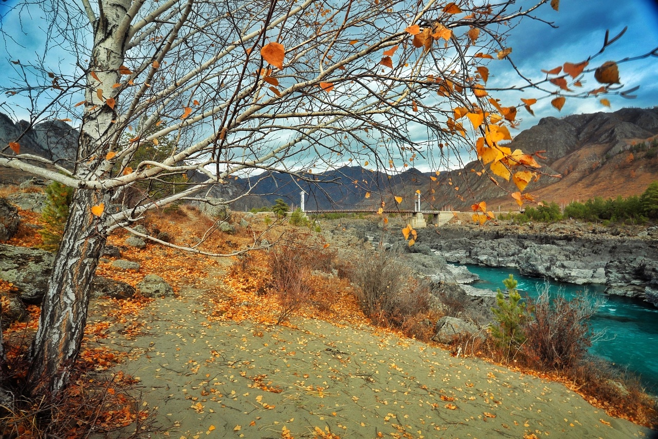 Алтайская Одиссея  Осень-Весна (8 дней)