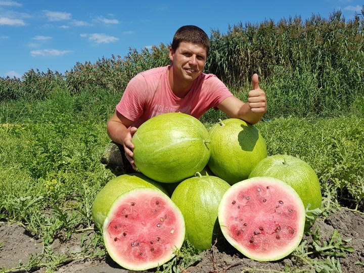 Астрахань. Дегустация арбузов и дивная красота лотосов (3 дня)