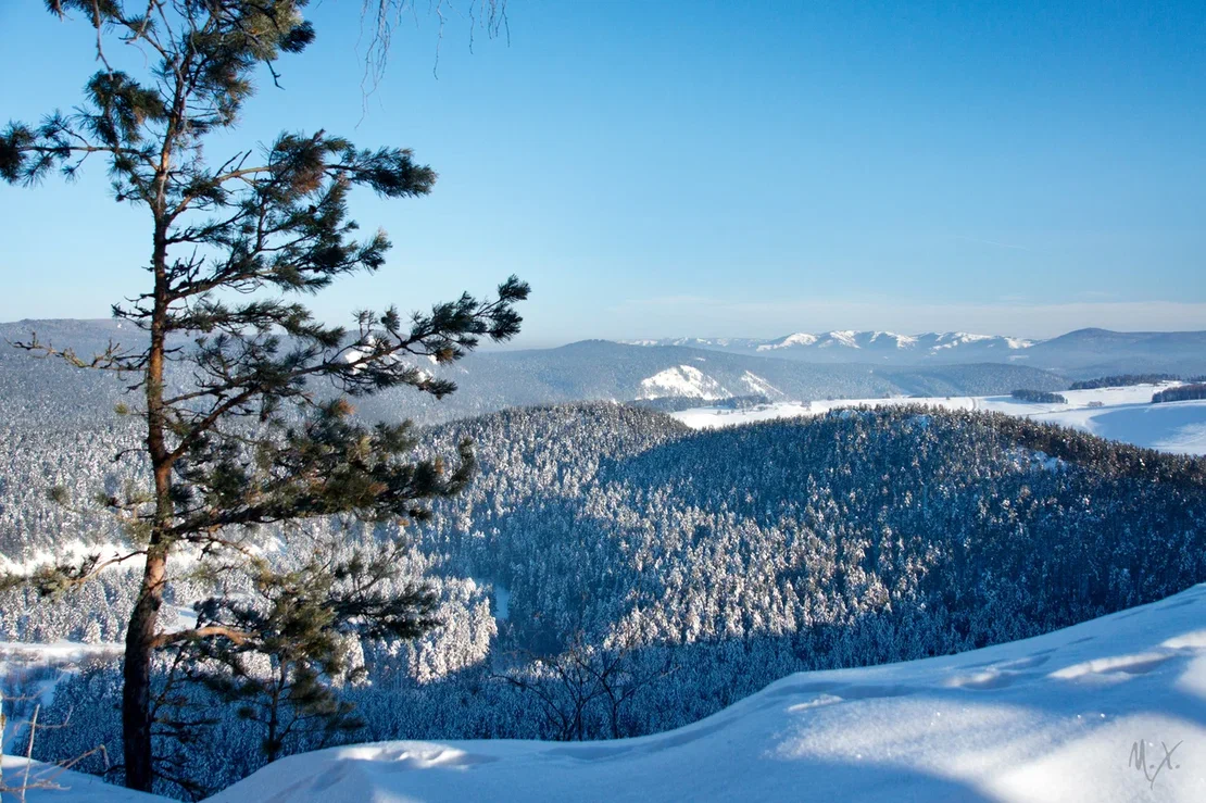 Изображение галереи