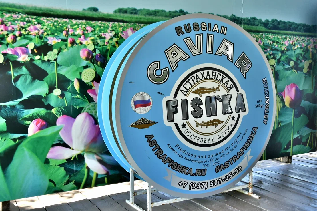 Изображение галереи