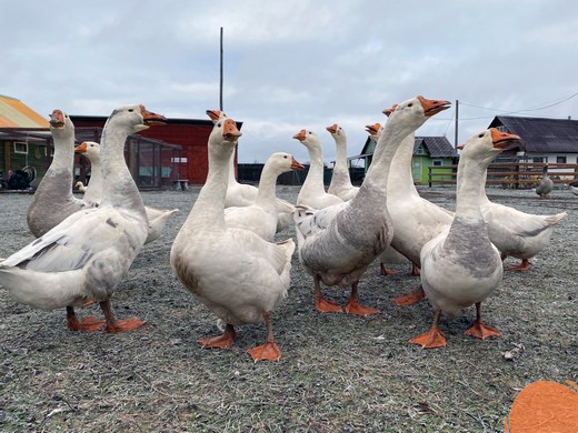 Изображение галереи