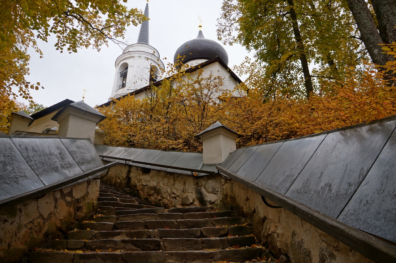 Изображение галереи