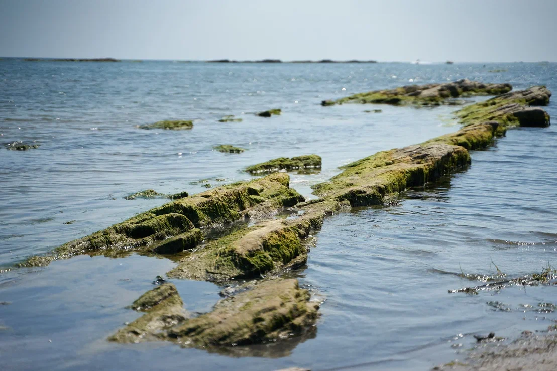 Красоты российского Каспия (3 дня)