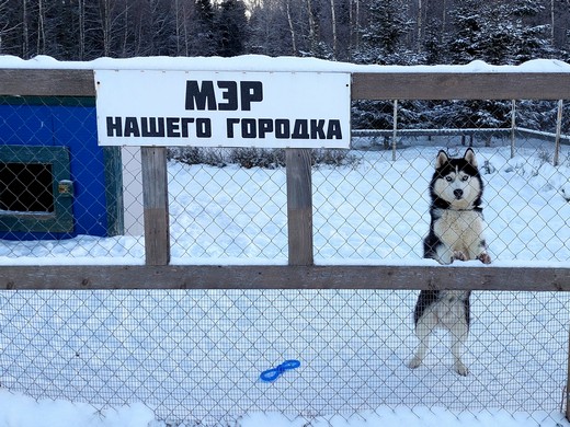 К Деду Морозу за Можай