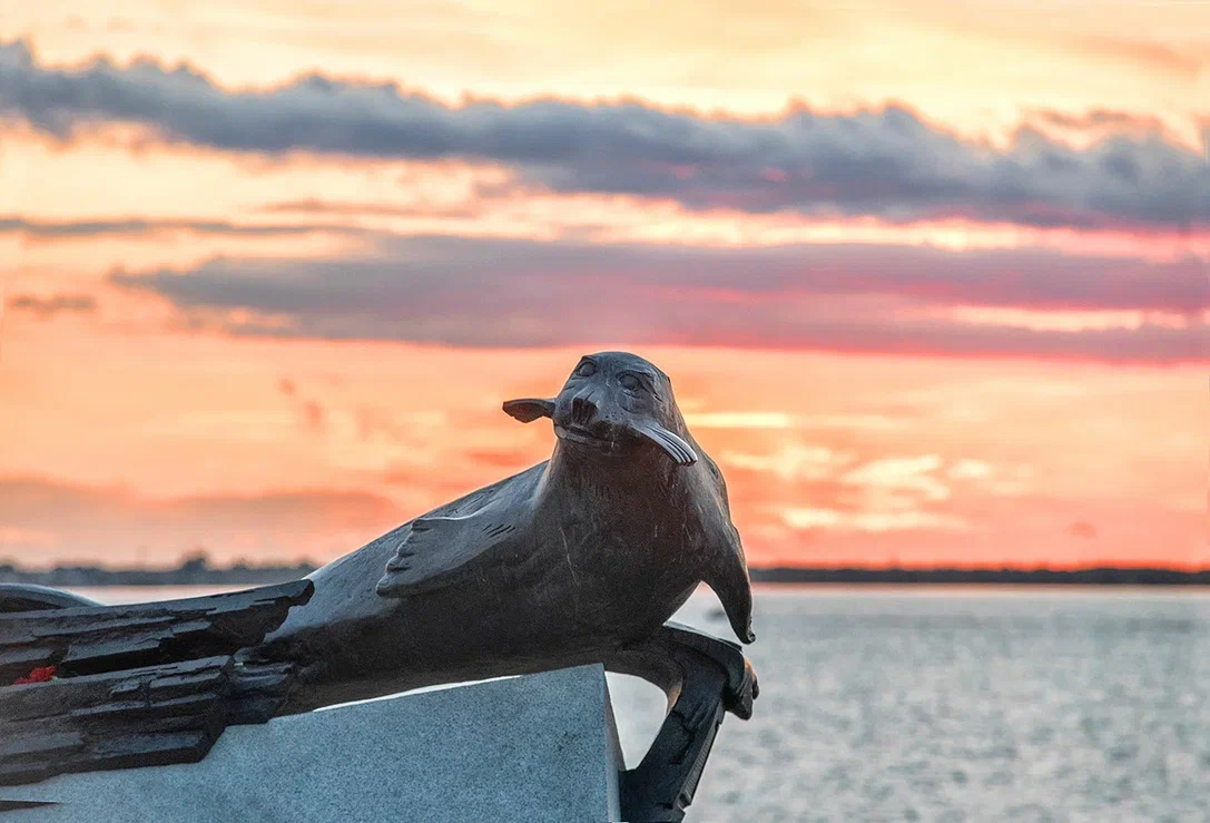 Изображение галереи