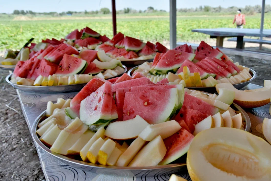 Астрахань. Дегустация арбузов и дивная красота лотосов (3 дня)