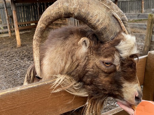 Изображение галереи