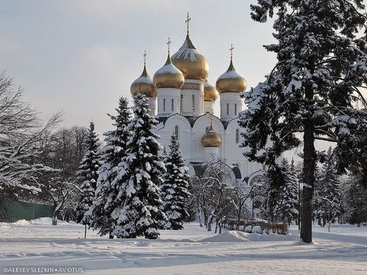 Изображение галереи