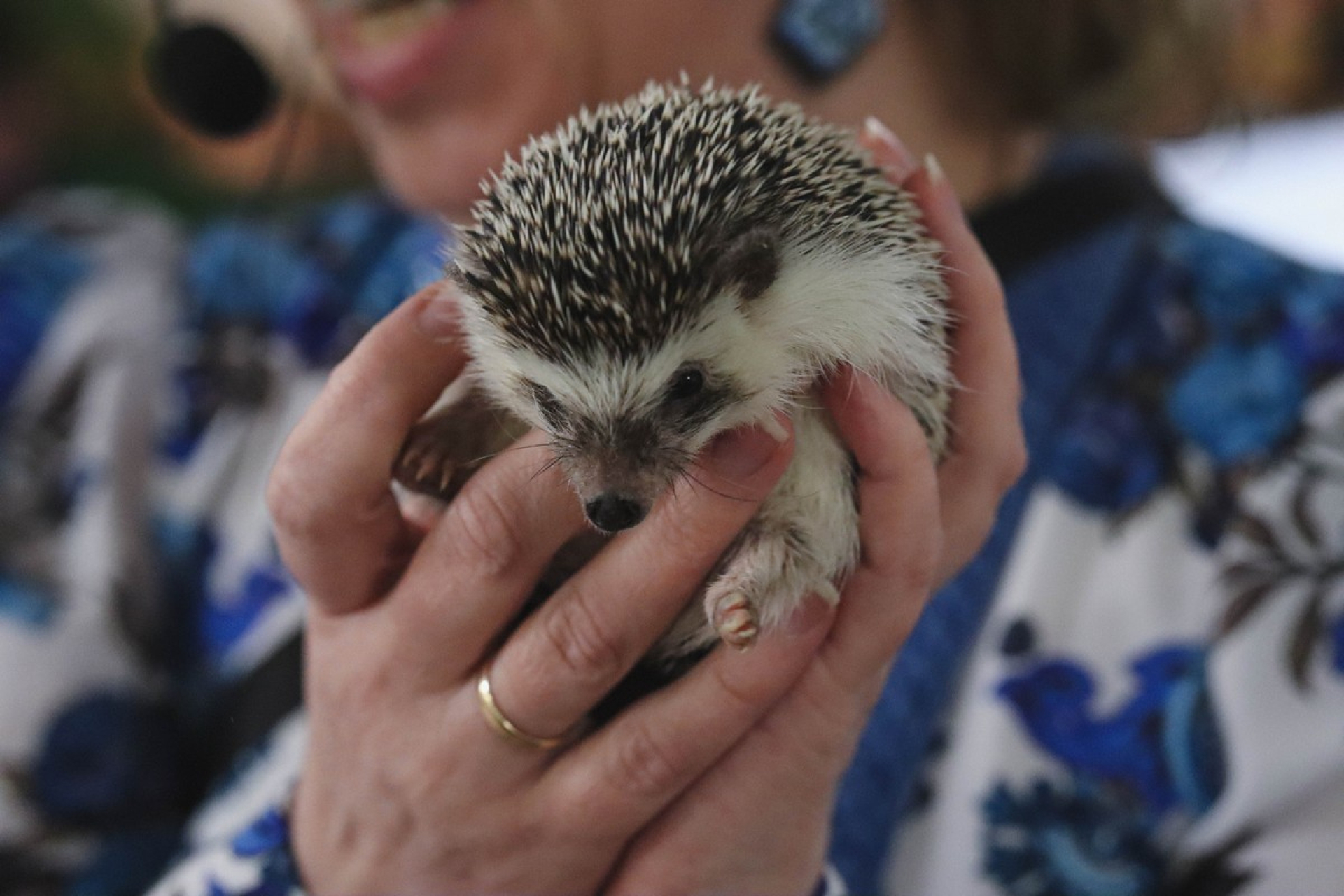 Изображение галереи