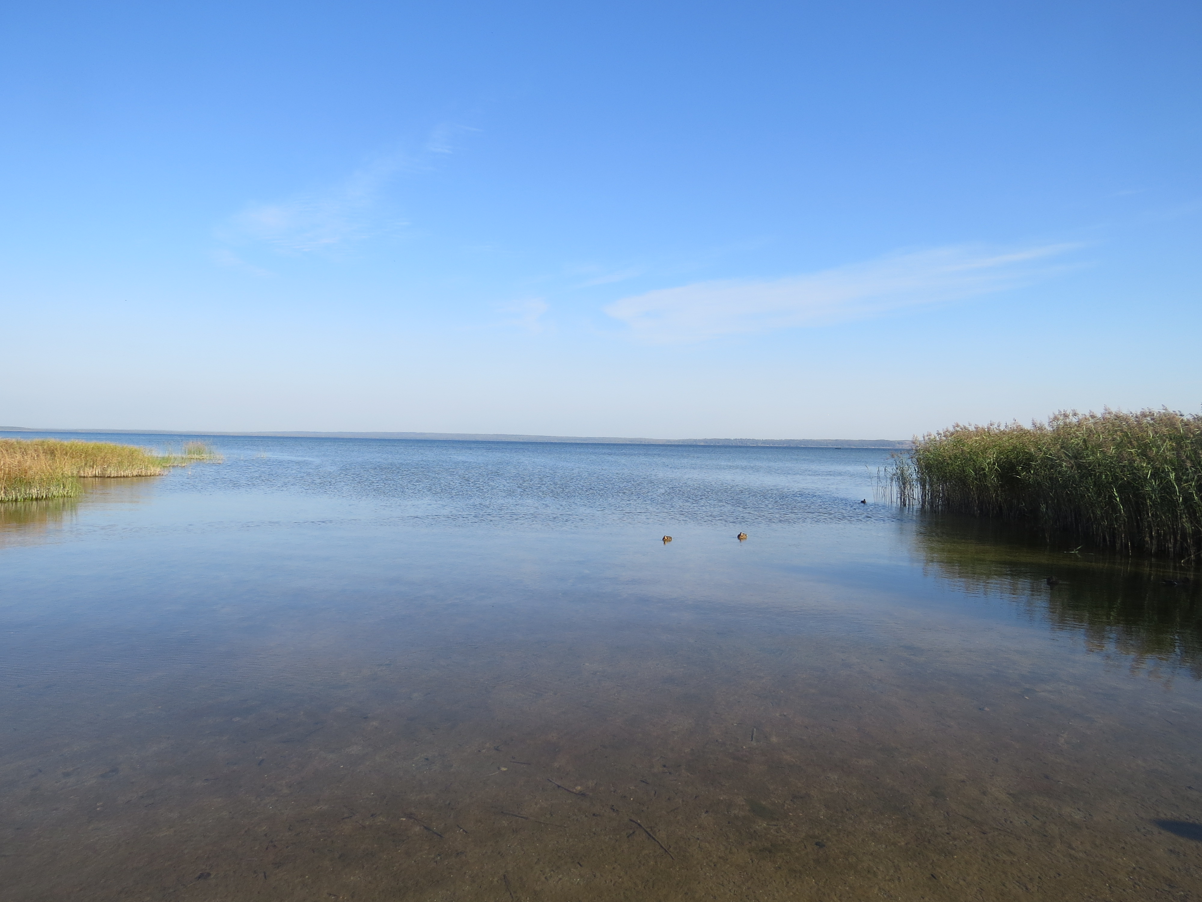 Поэтика воды (2 дня)