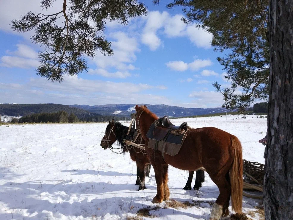 Изображение галереи