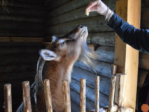 Изображение галереи