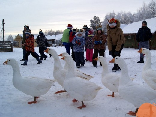 Изображение галереи