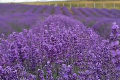 Изображение галереи